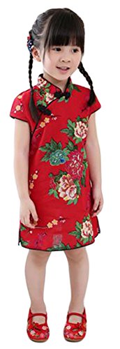 AvaCostume Girls Chinese Traditional Cheongsam Dress Floral Butterfly Printing Qipao