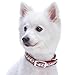 Blueberry Pet 7 Colors Soft & Safe 3M Reflective Jacquard Neoprene Padded Adjustable Dog Collar with Metal Buckle – Marsala Red, Neck 13-16.5″, for Medium Breedthumb 3