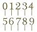 Gold Acrylic Large Numbers with a crown 0-9 Cake Toppers Table Numbers 7