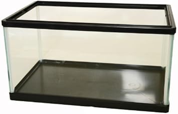 Amazon フラット 30cmガラス水槽 鈴木製作所 水槽 通販