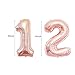 12th Birthday Decorations Party Supplies Rose Gold for Girls-Confetti Latex Balloon,Foil Mylar Star,Tassel Garland ,Tinsel Foil Fringe Curtains,Happy Birthday Banner as Photo Props,Gift