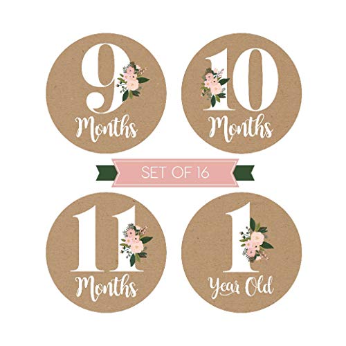 16 Rustic Floral Baby Girl Milestone Stickers, 12 Monthly Photo Picture Props for Infant Onesie, 1st Year Belly Decals, Scrapbook Memory Registry Gift, Best Shower Basket Present, Flower Birth Months - Thumbnail 4