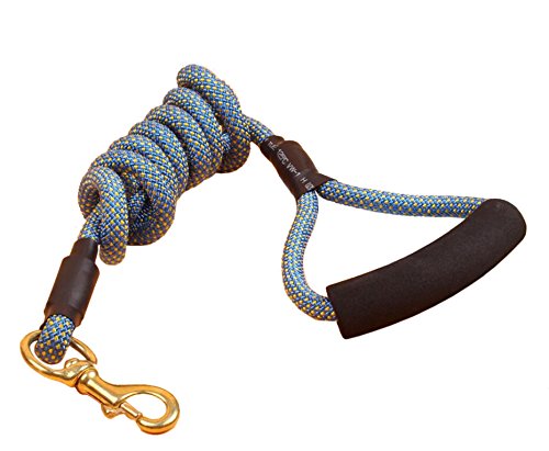 Rayability Climbing Rope Heavy Duty Dog Leash, Super Strong 12MM Nylon Rope, Bite Resistant, 70IN, Blue