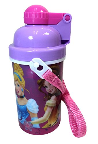 Disney Princess Cinderella Auora Belle Canteen w/ Popup Lid & Straps Water Bottle Tumbler Cup
