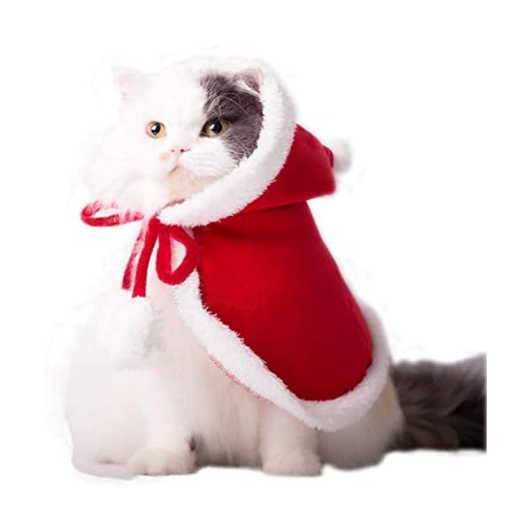 ropa para gatos navidad