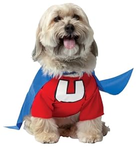 UnderDog Costume