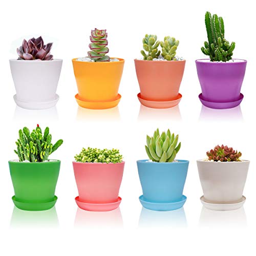 Amazon.ca Plants Plant Containers & Accessories Patio, Lawn & Garden