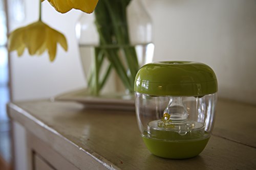Lil' Jumbl Portable UV Sterilizer for Pacifier and Baby Bottle Nipples Kills 99.9% Germs & Bacteria (Green) - Thumbnail 3