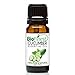 Biofinest Cucumber Seed Essential Oil - 100% Pure Undiluted, Premium Organic, Therapeutic Grade - Best for Aromatherapy, Skin Care, Soothe Wounds Cuts Acne Sunburn Wrinkles - Free E-Book (10ml)