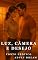 Livro Luz, Câmera e Desejo - Conto Erótico (Explícito) (Adult Dream)