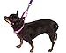 GOGO Pet Products 5/8-Inch Martingale Dog Collar, Small, Pink