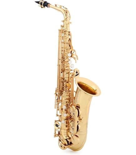 Amazon.com: Prelude Student Model AS711 Alto Saxophone by Conn