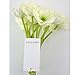 FATCOLO Fresh Artificial Mini Real Touch PU/Latex Corn Poppies Decorative Silk Fake Artificial Poppy Flowers for Wedding Holiday Bridal Bouquet Home Party Decor Bridesmaid Bouquets (White)