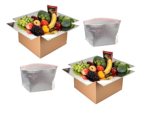 4 Pezzi Cartone A Doppio Isolamento Con Fodera Per Sacchetti Isolanti In Alluminio Scatola Di Spedizione Per Alimenti Surgelati Scatola Di Imballaggio 262x142x170 Mm E 210x110x143 Mm