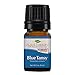 Plant Therapy Blue Tansy Essential Oil 100% Pure, Undiluted, Natural Aromatherapy, Therapeutic Grade 5 mL (1/6 oz)