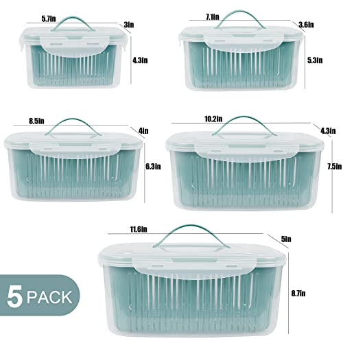 Greentainer 5PCS Stackable Produce Saver Containers with Lids and