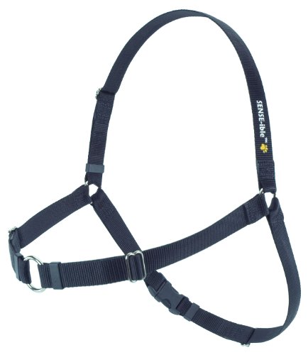 SENSE-ible No-Pull Dog Harness - Black Large