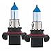 PIAA 19618 (9008) Xtreme White Plus High Performance Halogen Bulb, (Pack of 2)