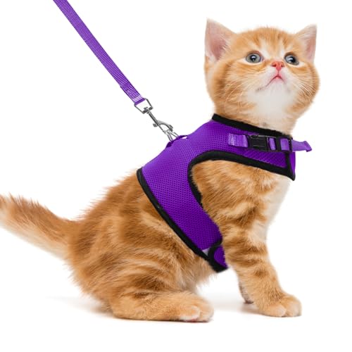 PUPTECK Soft Mesh Cat Harness and Leash Set