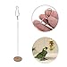 Jim-Hugh Pet Parrots Food Holder Support Stainless Steel Fruit Spear Stick Meat Skewer Bird Feeding Stick Feederthumb 2
