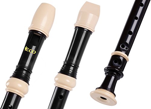 Soprano Recorder – 8 Hole Descant Recorder Instrument with Cleaning Rod, Case, Learning Instruction, Key of C