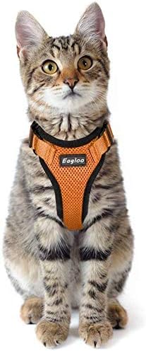 eagloo dog harness