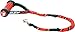 EzyDog Cujo Shock Absorbing Bungee Dog Leash - Best Dog Rope Training Lead - Reflective Trim for Nighttime Safety - Padded Pull Handle for Superior Comfort and Control (25