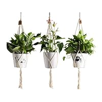 TOUCH MISS 3 Pcs Macrame Plant Hanger Indoor Outdoor Hanging Planter Basket Wall Cotton Rope Bohemian Home Decor 4 Legs 35.5 Inch（Creamy White）