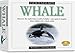 Skullduggery Eyewitness Kit Whale Casting Kit