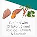 Purina Fancy Feast Lickable Wet Cat Food Broth Topper, Classic With Chicken and Vegetables - (Pack of 16) 1.4 oz. Pouches