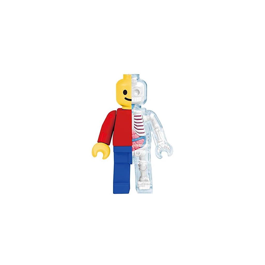 Anatomical LEGO Brick Man Cool Stuff to Buy Online