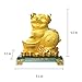 Bwinka 2019 Golden FengShui Pig with Lucky Coins Feng Shui Decoration for Luck & Wealth Perfect for Your Home or Office