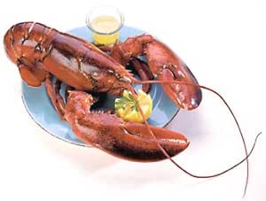 The Crab Place Live Lobster, 1 Half (1-1/2 lbs.): Amazon.com: Grocery