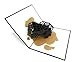 PopLife® Jeep Truck 3D Pop Up Card for All Occasions - Birthday, Father’s Day Gift, Graduation, Congratulations, Retirement, Anniversary - SUV Driver, Off-Roading, 4X4 Car - for Husband, Son, Boyfriend