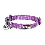 Pawtitas Reflective Cat Collar with Safety Buckle