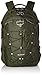 Osprey Packs Quasar Daypack