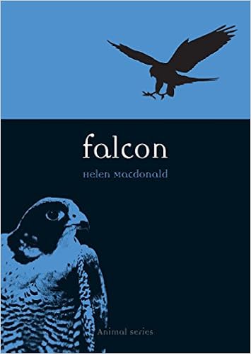 Buy Falcon Animal Series Book Online At Low Prices In