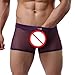Tonsee® Sexy Men's See Through Briefs Shorts Underwear (M, Purple)