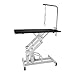 VEVOR 42.5 X 23.6 Inch Dog Grooming Table Z-Lift Hydraulic Grooming Table 330Lbs Weight Capacity Height Adjustable Pet Grooming Table with Adjustable Arm and Noose (Pet Hydraulic Table)