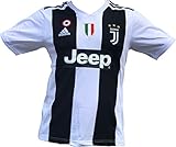 Le Roux Juventus F.C. 2019 Home Soccer Jersey Men Ronaldo No. #7 on The Back All Patches - Logos as Original