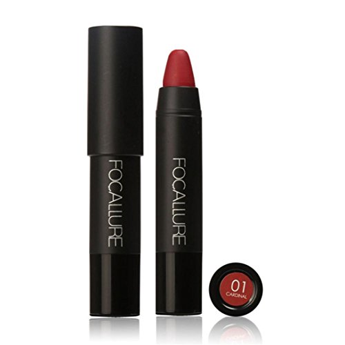 lip gloss,BeautyVan FOCALLURE Long-lasting Red Velvet Matte Color Pencil Lipstick Crayon Makeup Set (A)