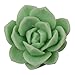 Succulent Plant Flower Pot Silicone Mold Gypsum Cement Fleshy Flower Bonsai DIY Ashtray Candle Holder Mould (C)