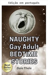 Livro Histórias de cabeceira safadas para adultos gays