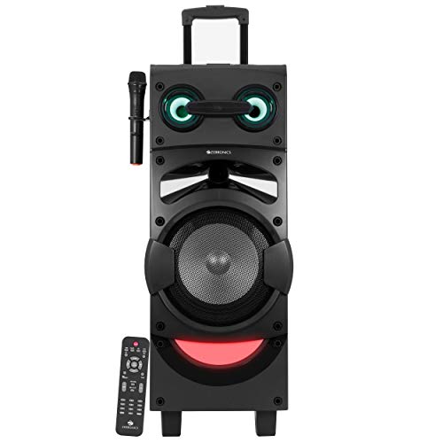 zebronics pro x10 price