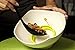 Magic Cuisine Nylon 5pc Kitchen Utensils Set with Stand - Black Color - Home Cooking Tool - Soup Ladel - Slotted Turner - Spoon - Slotted Spoon - Spaghetti Server Kitchen Accessories