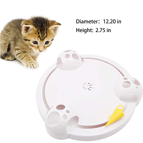 Auoon Pounce Cat Toys Interactive Automatic Cat Scratch Mouse Game Disc Cat Toys Joy Disc Mouse Turntable Cat Scratch Board Electric Amusement Plate Interactive Cat Toys For Indoor Cats Pricepulse Auoon Pounce Cat Toys Interactive Automatic Cat Scratch Mouse Game Disc Cat Toys Joy Disc Mouse Turntable Cat Scratch Board Electric Amusement Plate Interactive Cat Toys For Indoor Cats Pricepulse
