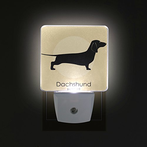 Dog Night Lights Kritters in the Mailbox Dog Night Light