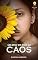 Livro Um amor em meio ao caos
