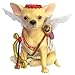 Aye Chihuahua Cupid