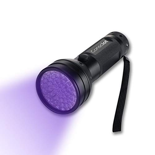 Does Dog Pee Show Up Under Black Light